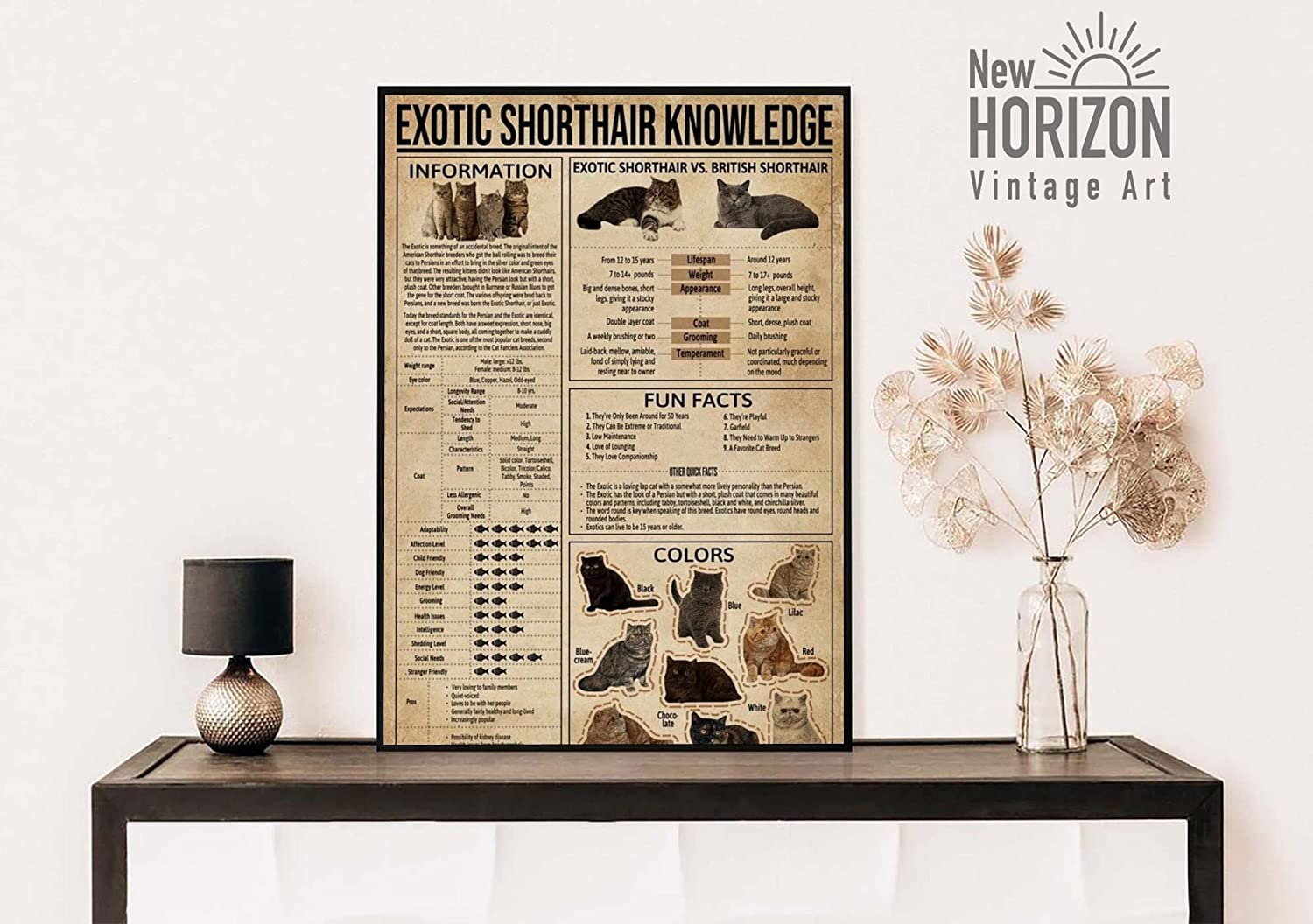 Exotic Shorthair Knowledge Poster Anatomy Of Exotic Shorthair Wall Art Exotic Shorthair Cat Lover Vintage Exotic Shorth