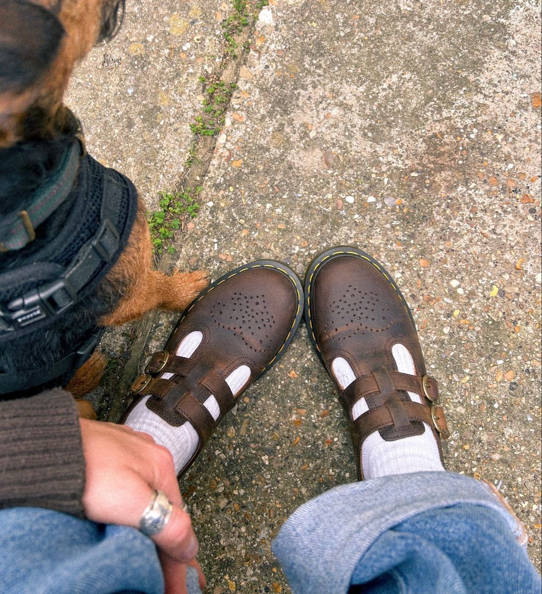Dr. Martens 8065 Crazy Horse Leather …