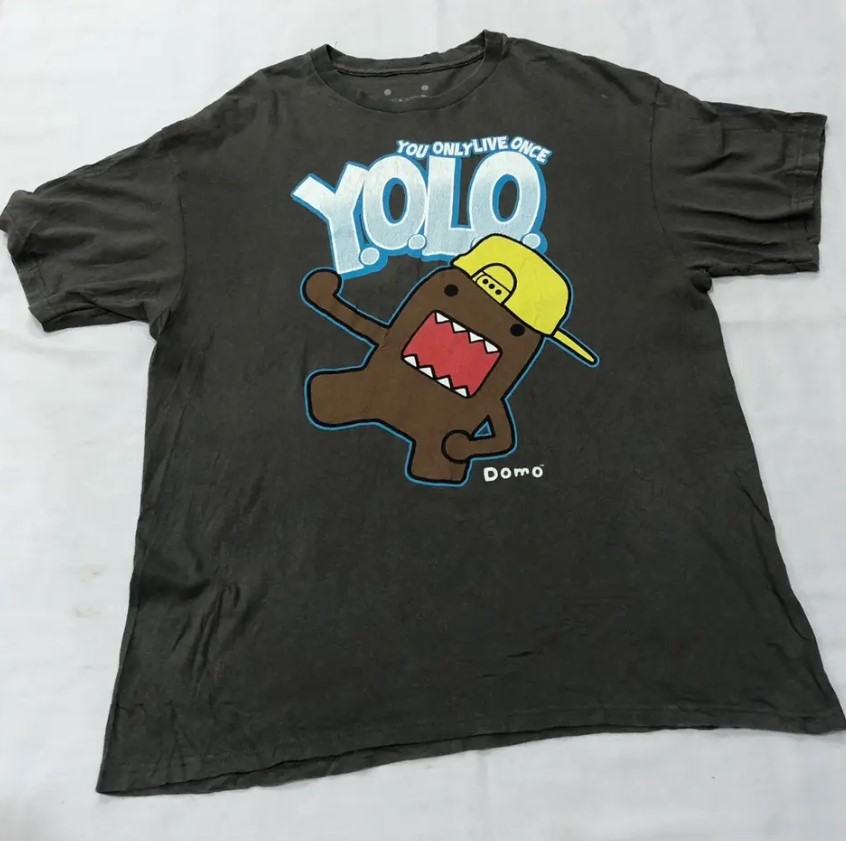 Vintage Domo Kun YOLO You Only Live Once Shirt Outfit