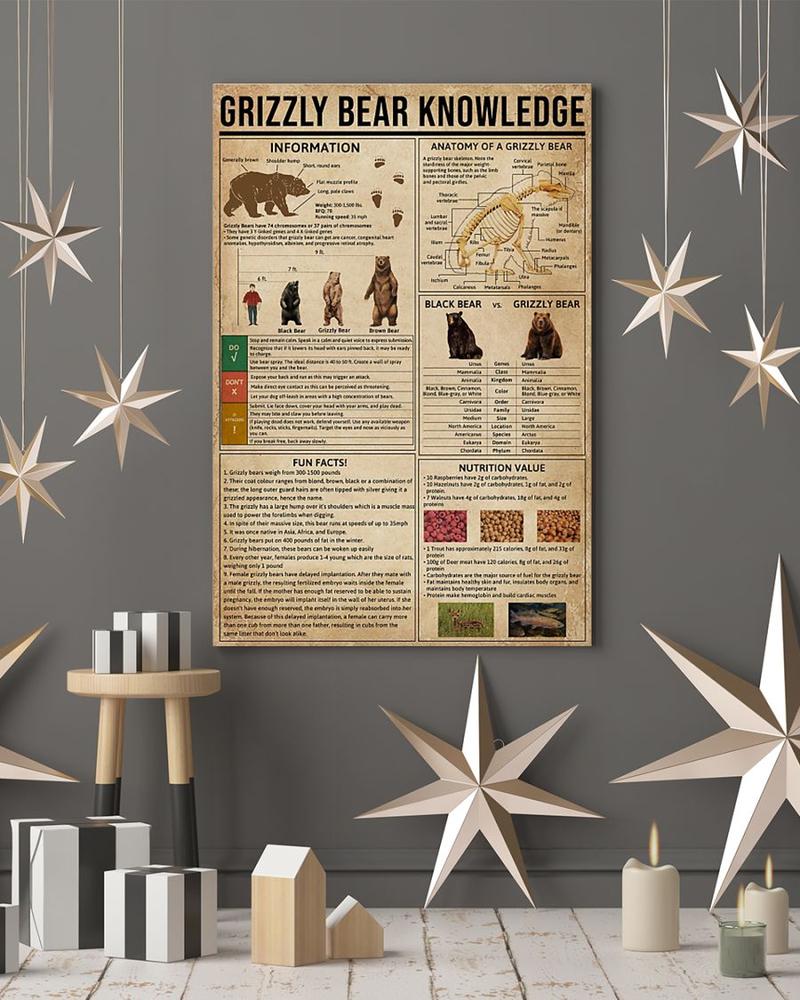 Anatomy Of Grizzly Bear Knowledge Poster