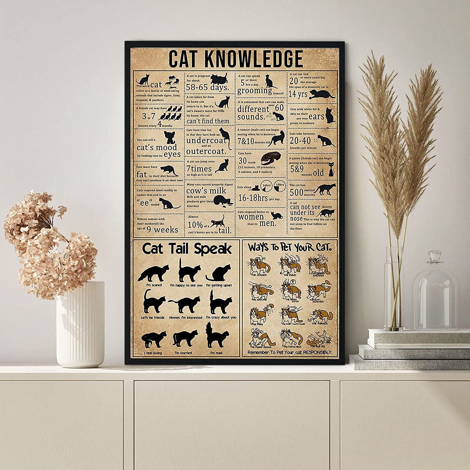 Cat Knowledge Poster Cat Poster Cat Art Cat Lover Gift Cat Wall Decor Funny Cat S Cat Owner Gift Funny Cat Gift Vintage Me