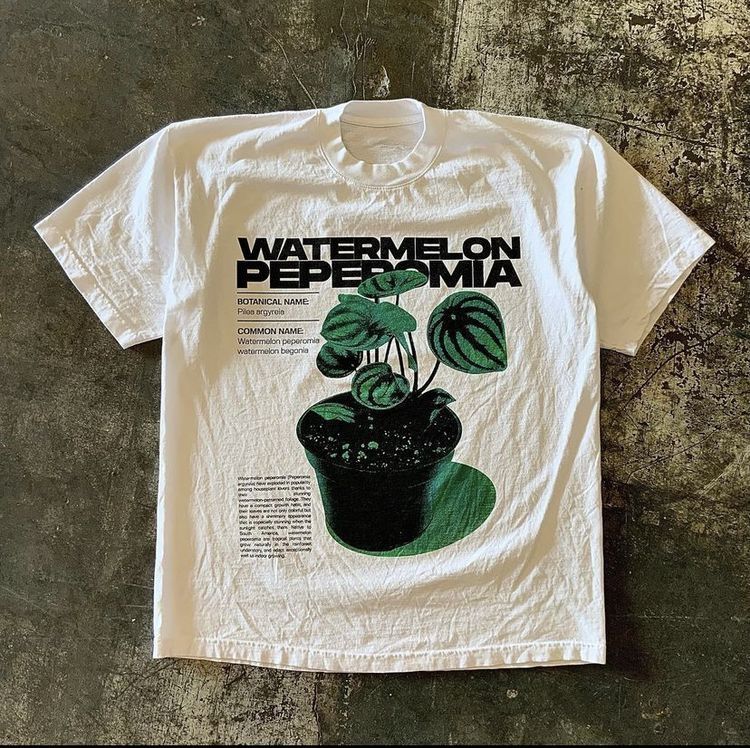 Shirt Ideas, Watermelon Peperomia Te …