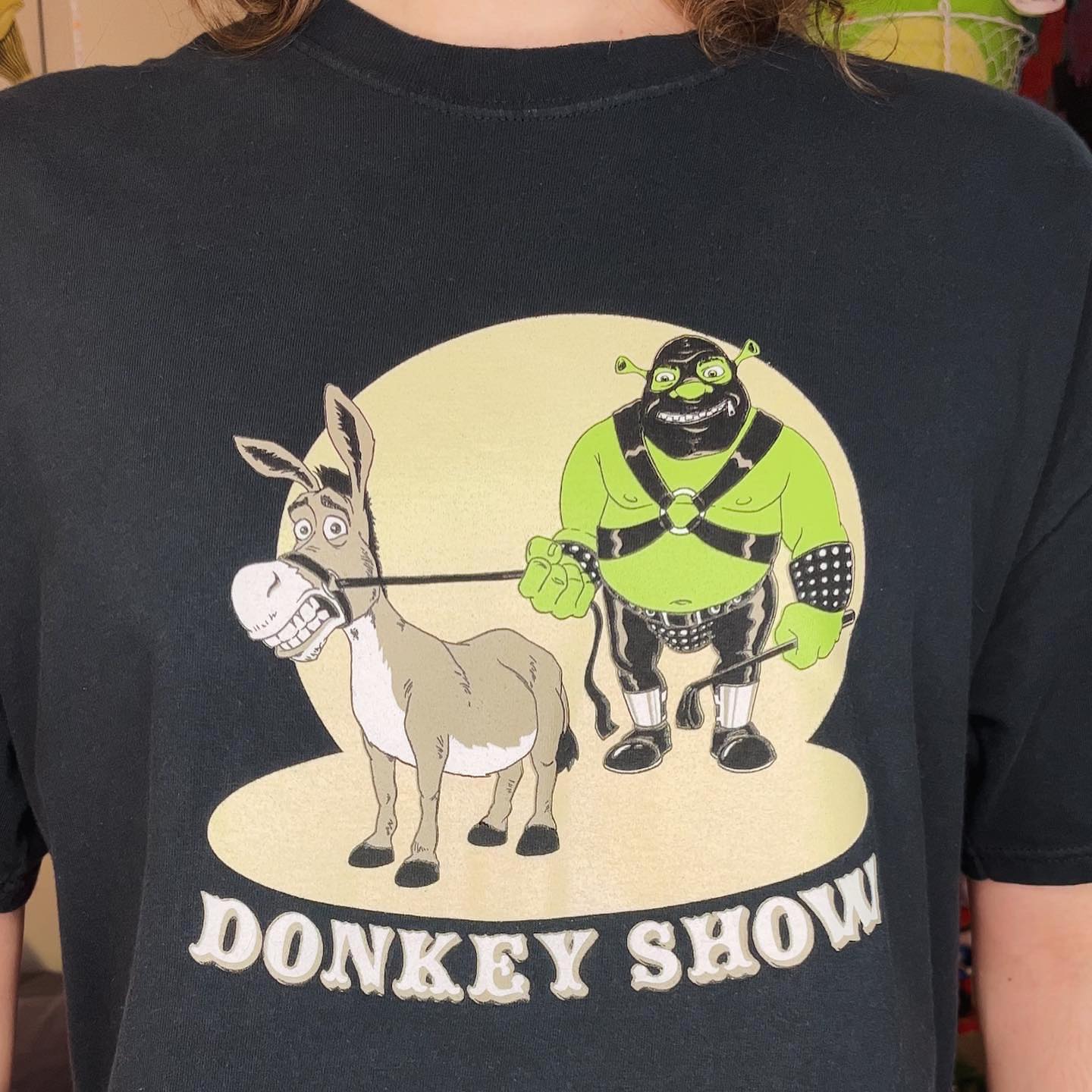 Shrek Donkey Shoe Tee Shirt Outfit