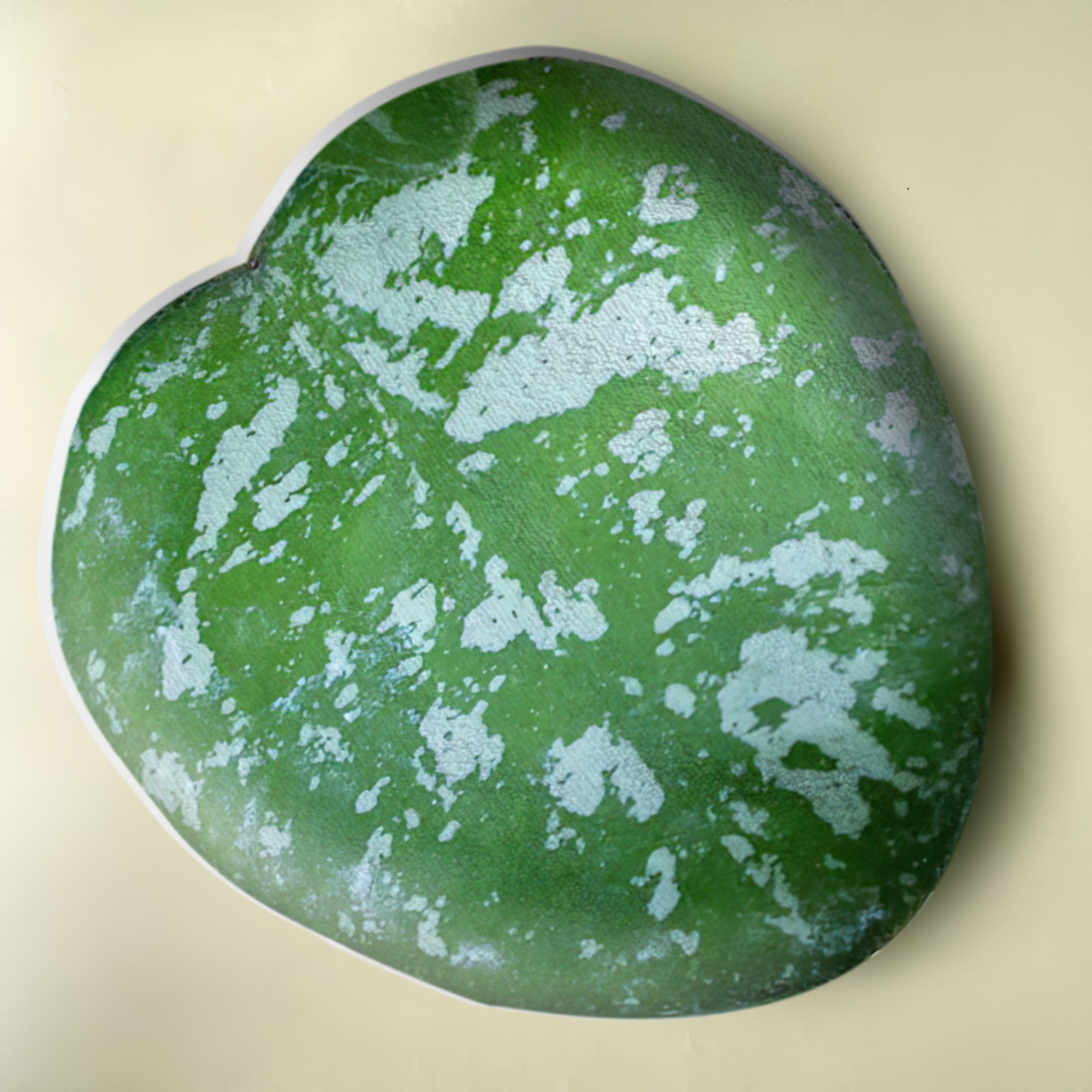 Hoya Mathilde Leaf Pillow Best Gift  &hellip;