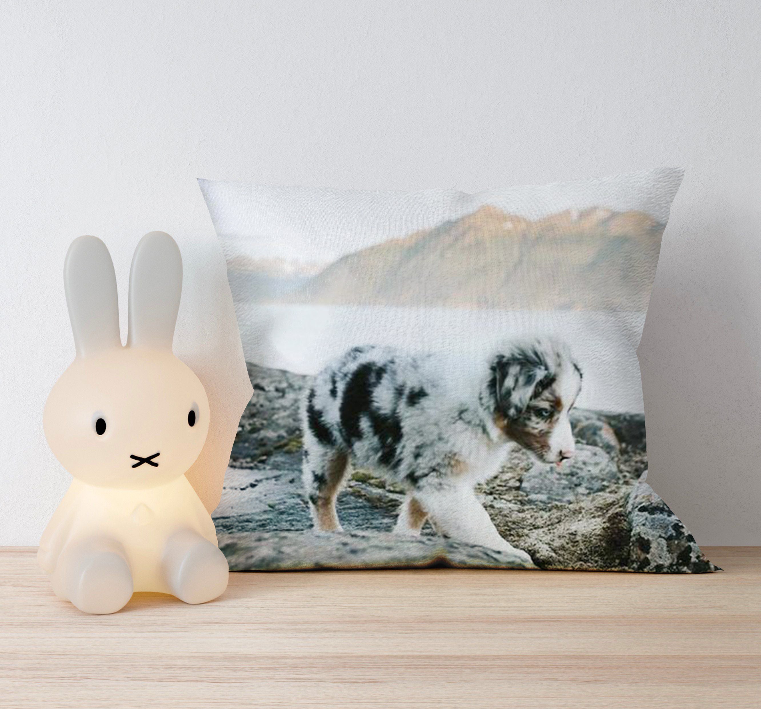 Small Australian Shepherd Dog  Pillo &hellip;