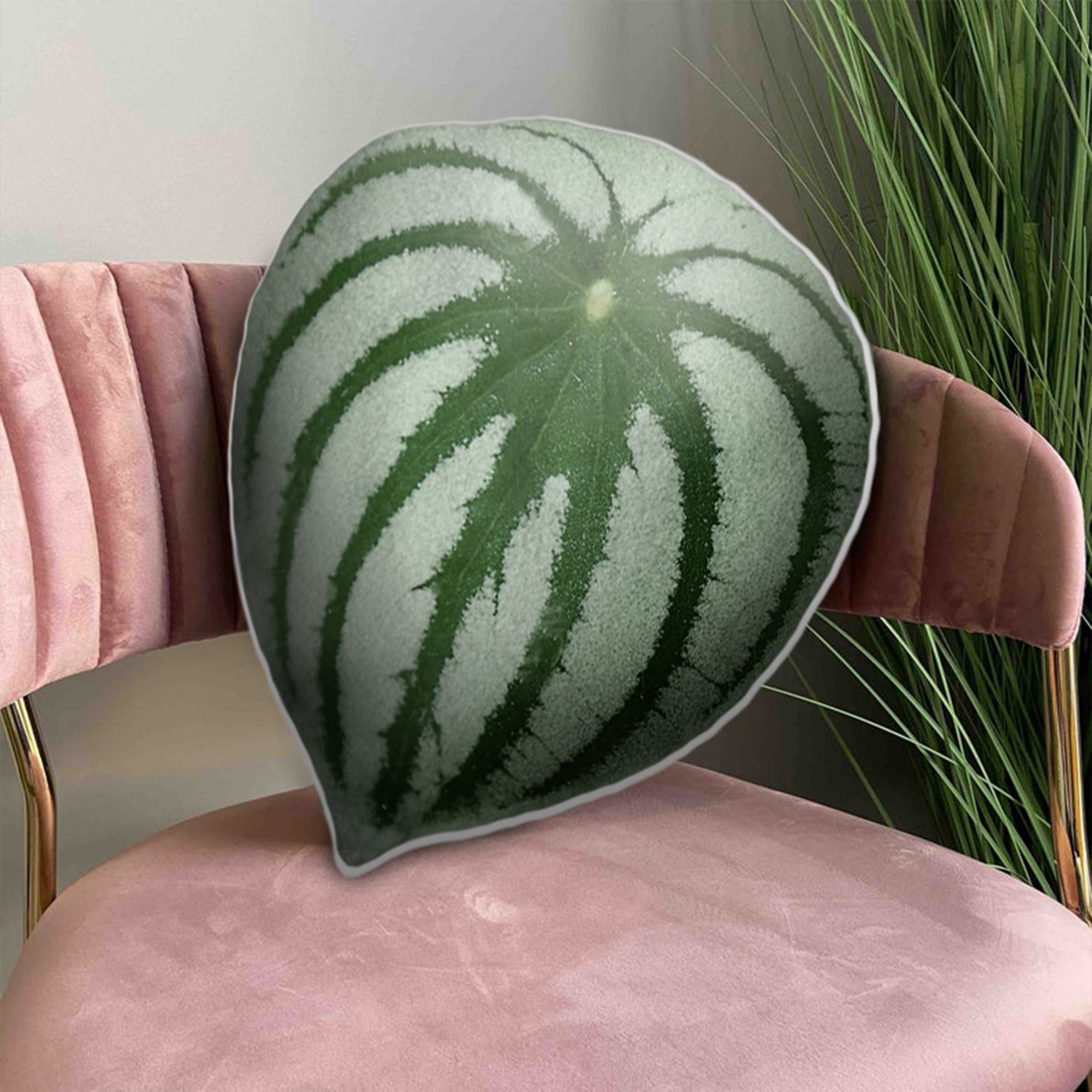 Peperomia Argyreia Leaf Pillow Best  &hellip;