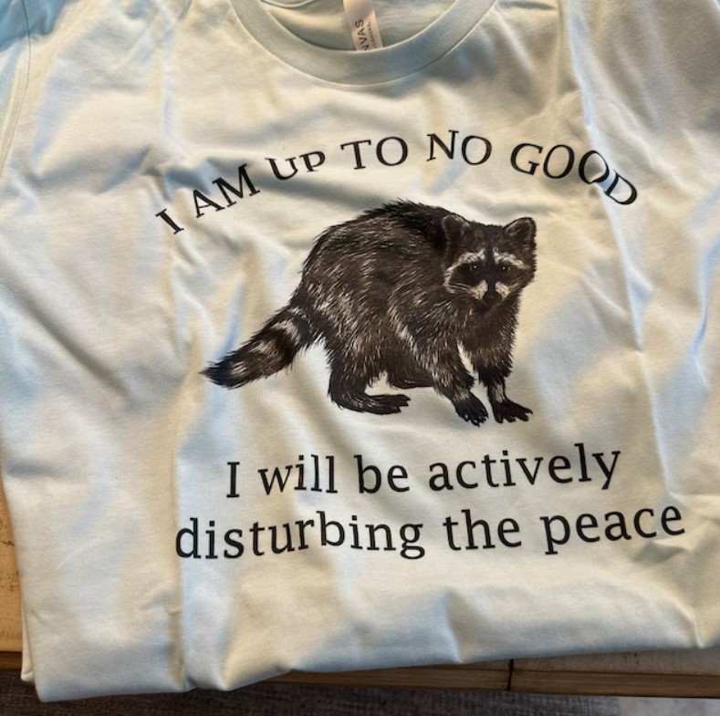 I Am Up To No Good I Will Be Actively Disturbing The Peace Raccoon Lovers Tee Shirt Outfits