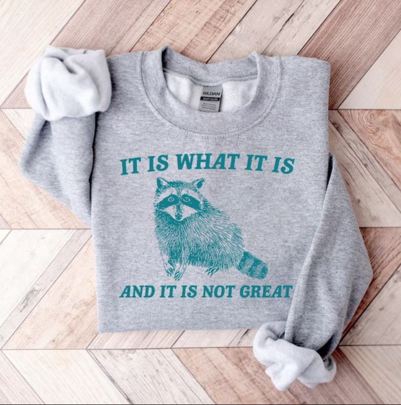 It Is What It Is And It Is Not Great Raccoon Lovers Sweater Shirt Outfits