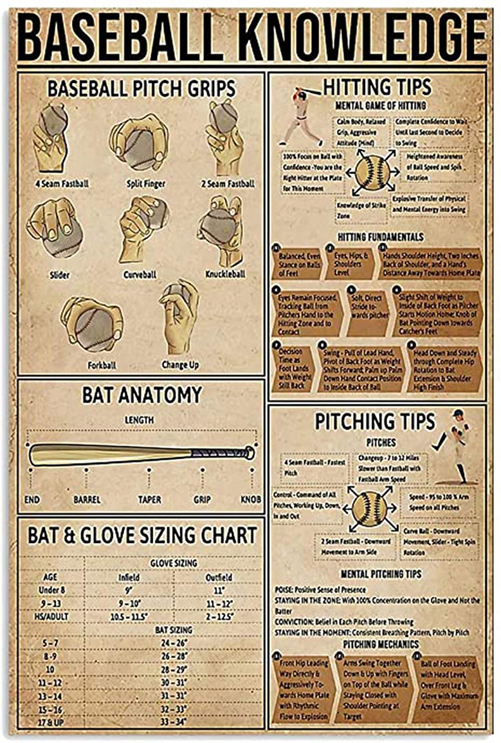 Baseball Knowledge Poster   Poster Wall Art Print