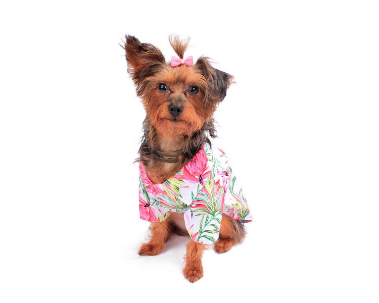 Dog Aloha Shirt in Flamingo in Love