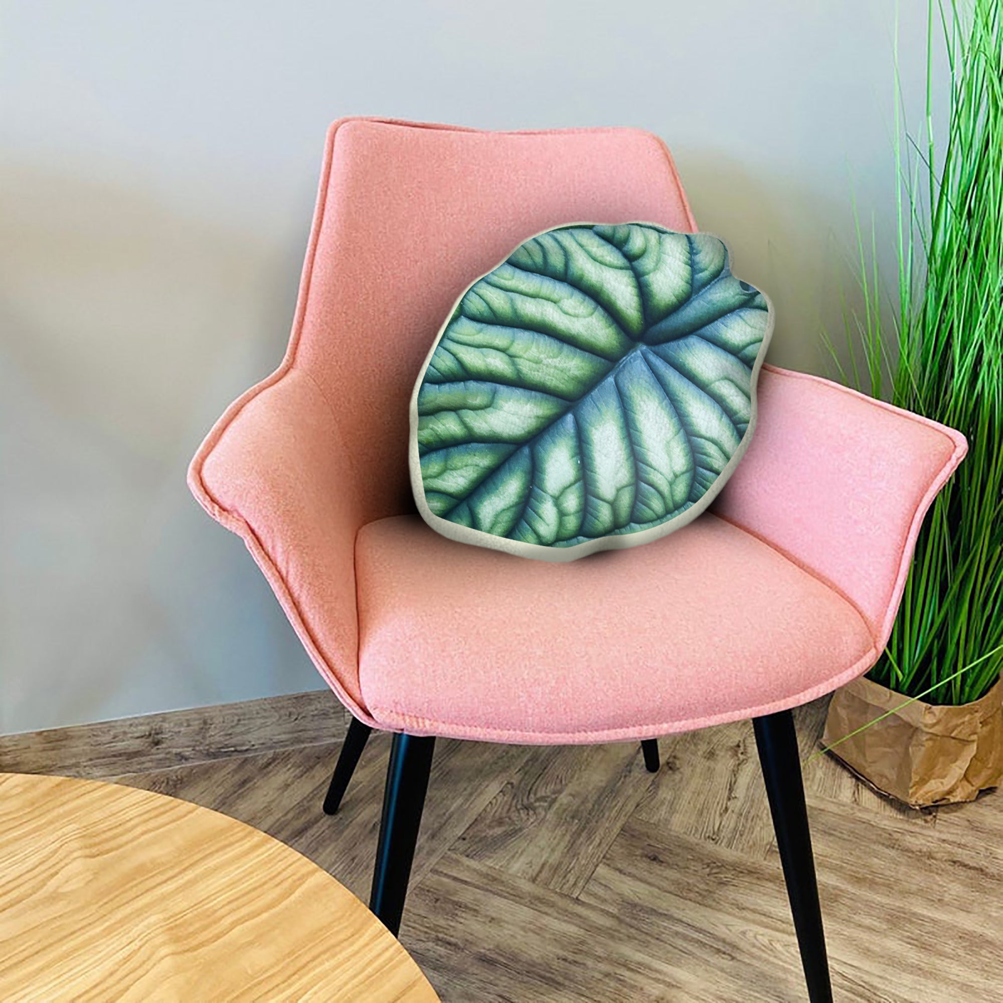 Alocasia Baginda Dragon Scale Leaf P …