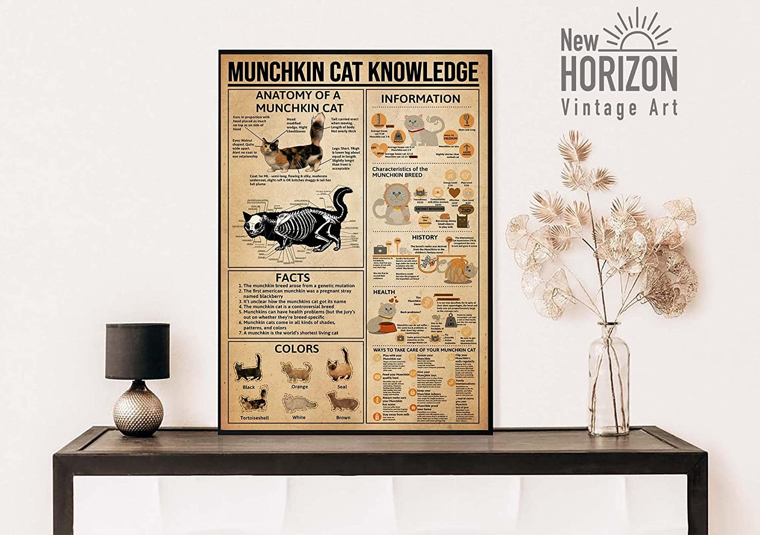 Munchkin Cat Knowledge Poster Anatomy Of Munchkin Cat Wall Art Munchkin Cat Lover Poster Vintage Munchkin Cat Informati