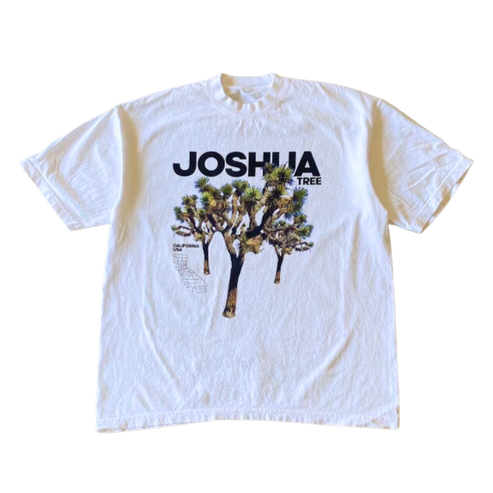 Joshua Tree v1 Tee Shirt Outfit