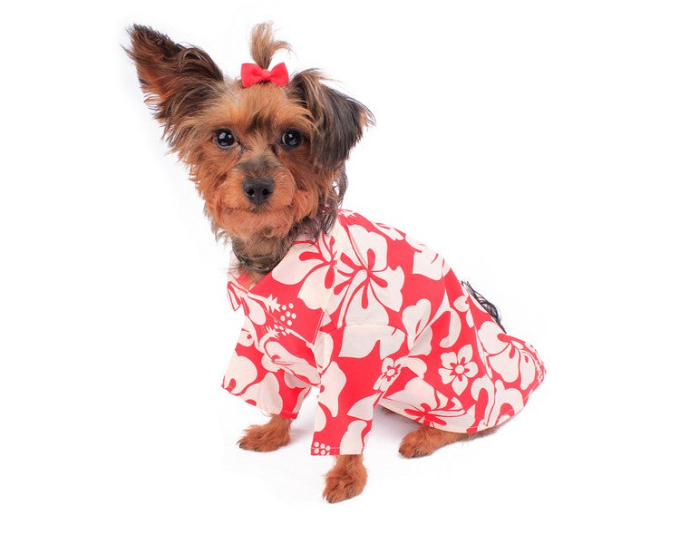 Dog Aloha Shirt in Vintage Hibiscus Red