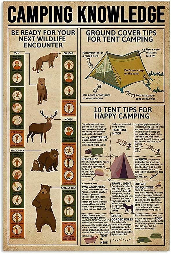 Camping Knowledge Poster  Canvas