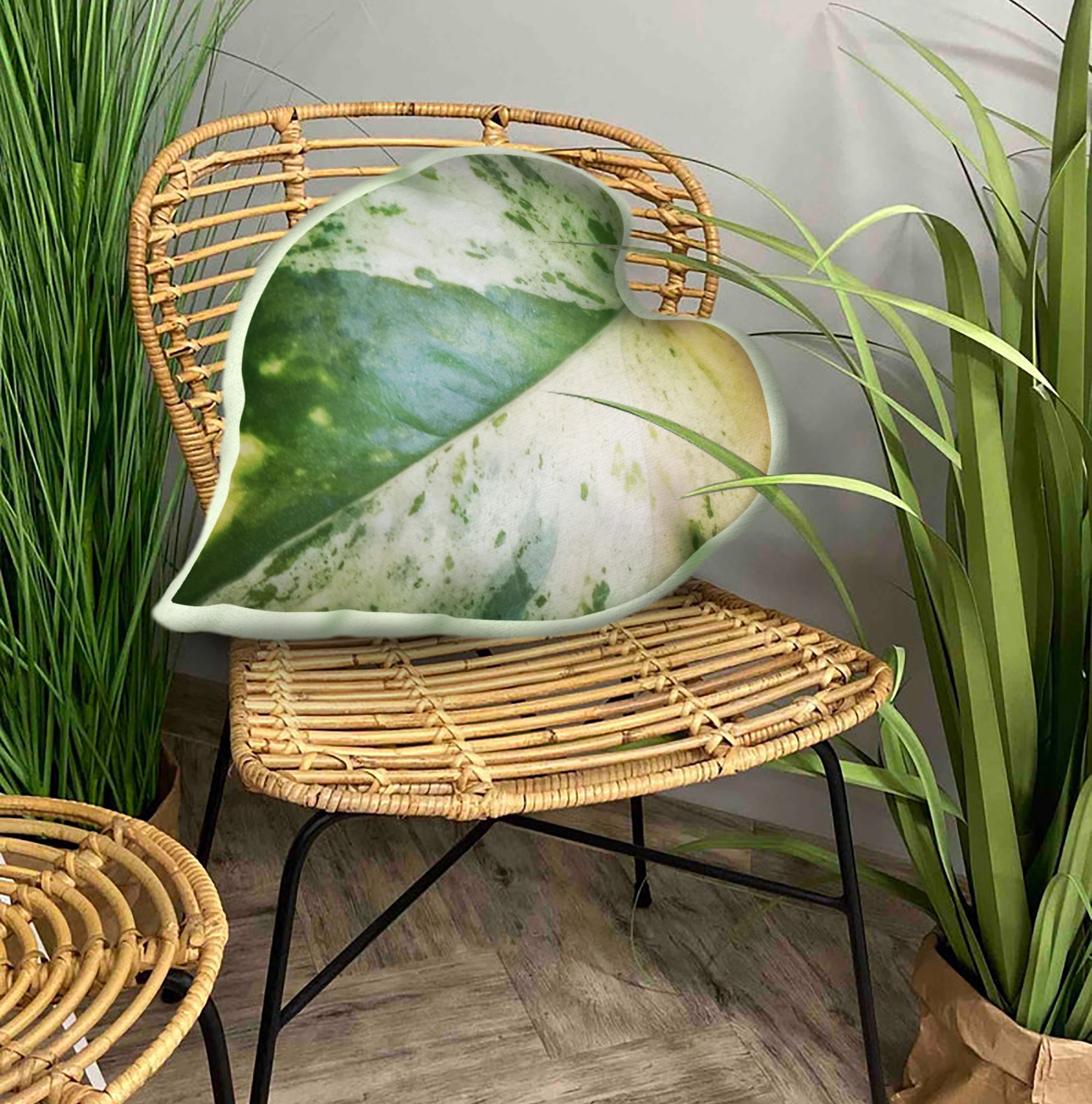 Epipremnum Aureum Pearls And Jade Le &hellip;