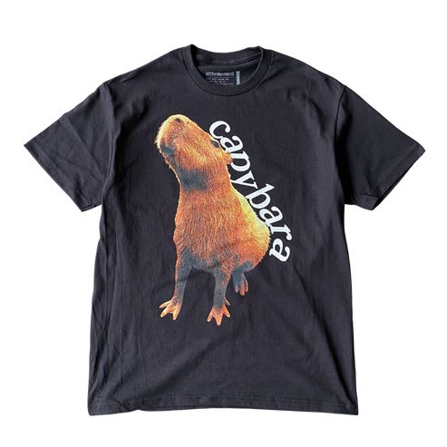 Capybara Stretch T shirt Outfit