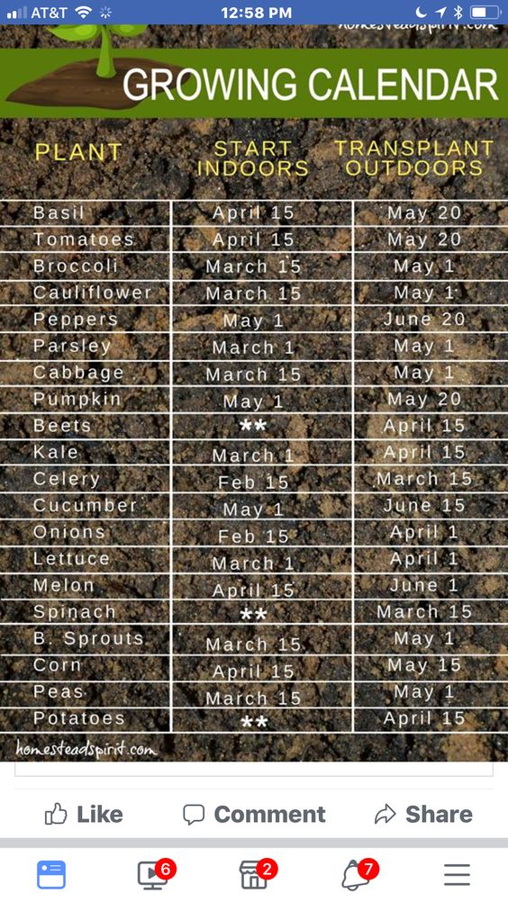 Growing Calendar Poster