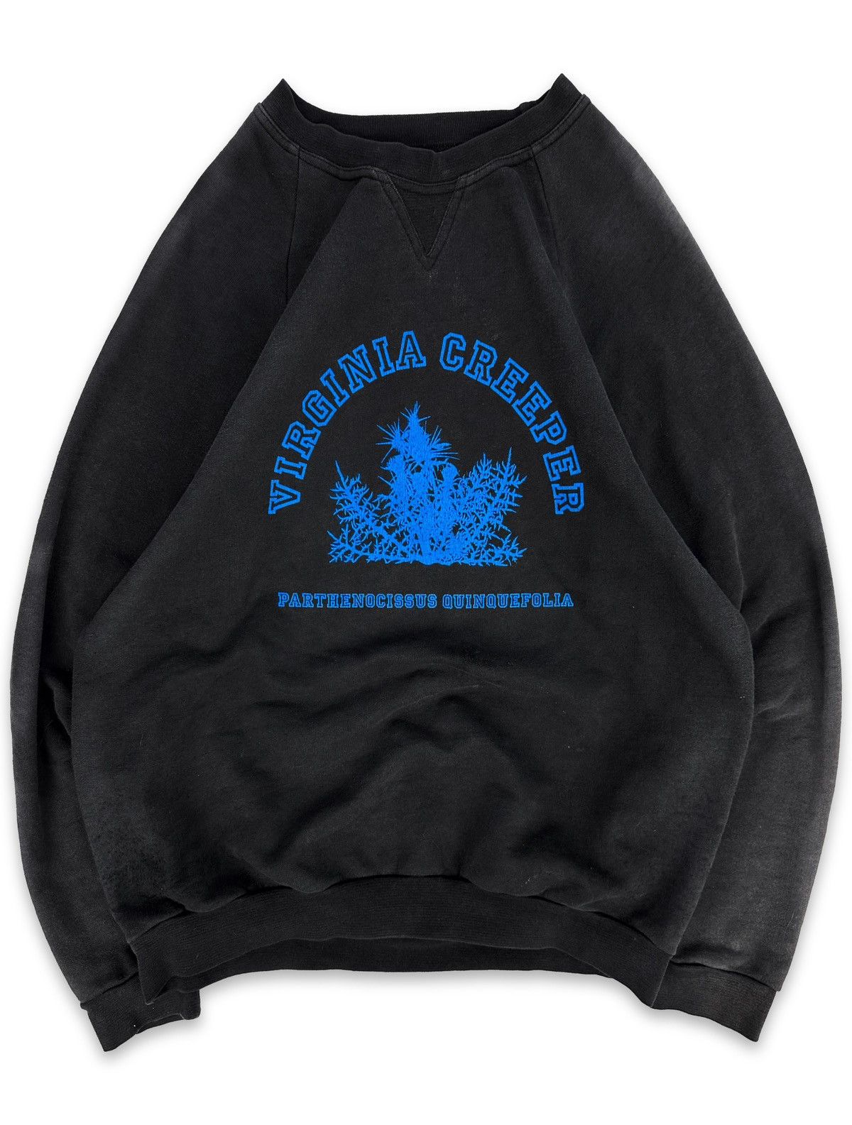 AW02 Raf Simons Virginia Creeper &hellip;