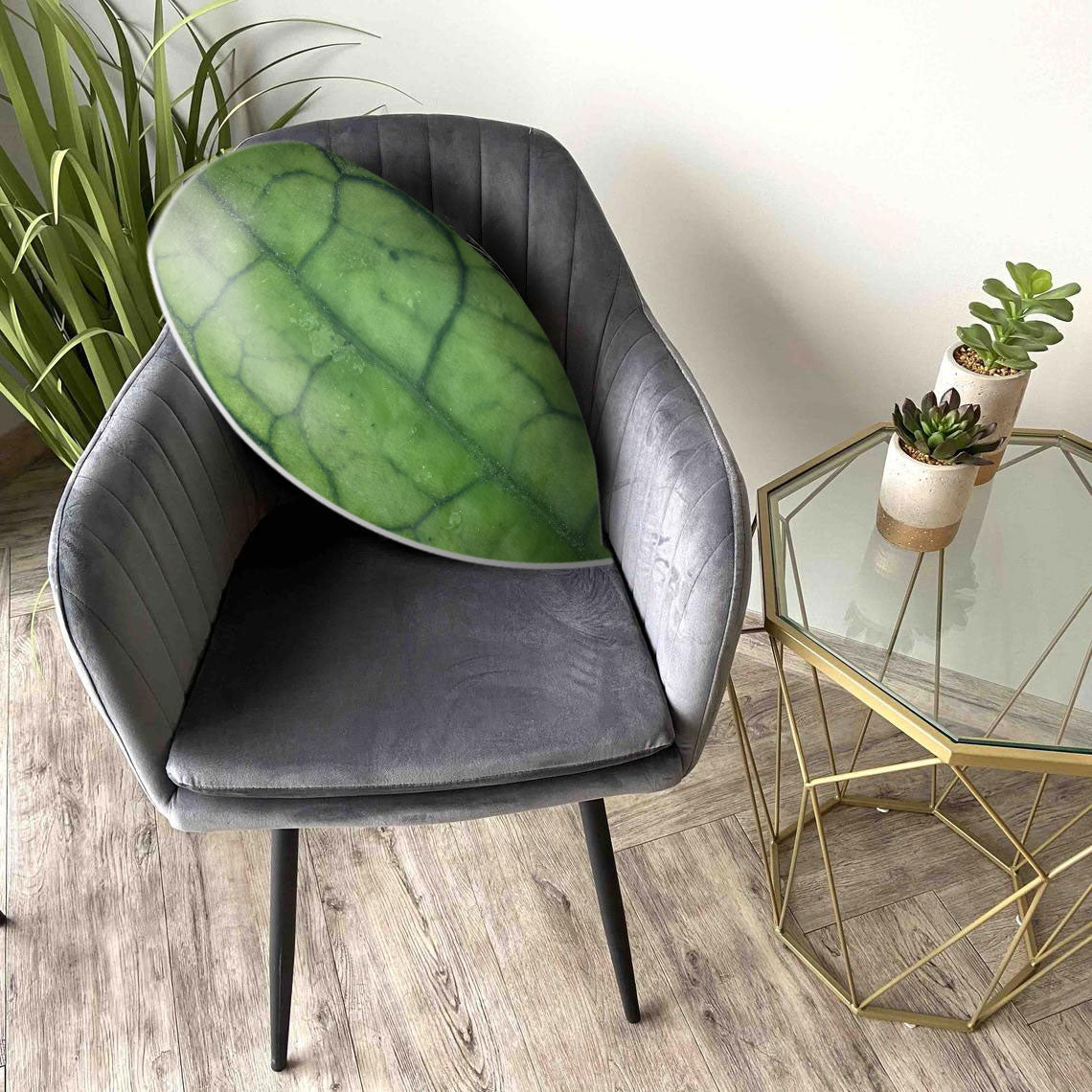 Hoya Filaysonii Leaf Pillow Best Gif &hellip;