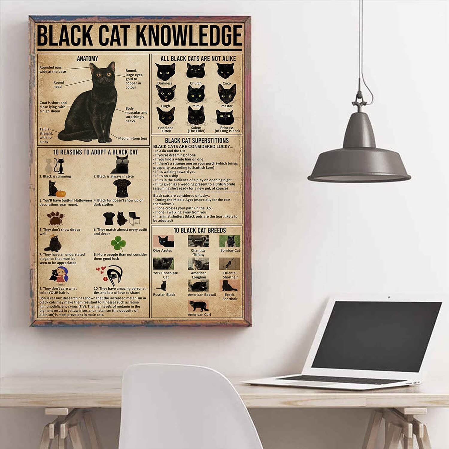 Black Cat Knowledge Poster Cat Poster Cat Art Print Black Cat Decor Cat Wall Decor Black Cat Art