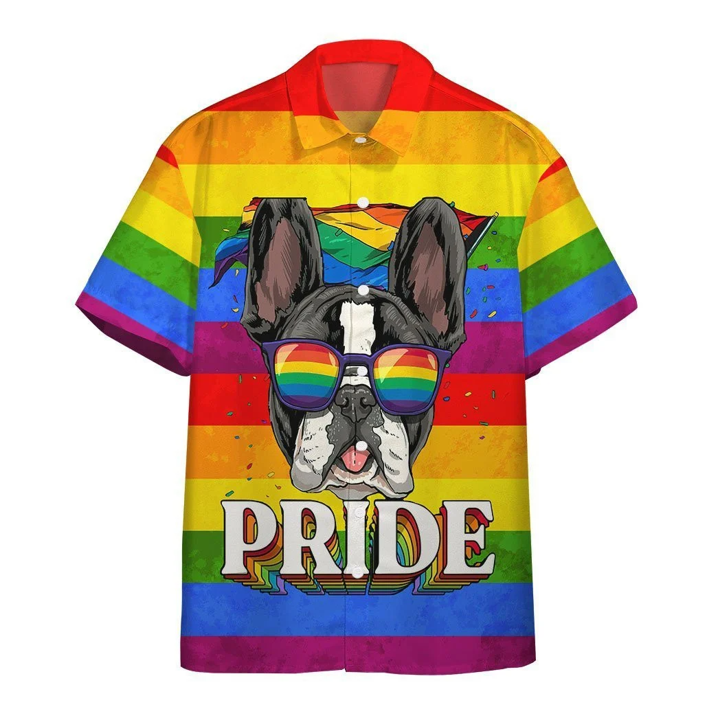 Ally Pride 3D Shirt Awesome Background Design Hawaiian Shirt, Hawaiian Pride