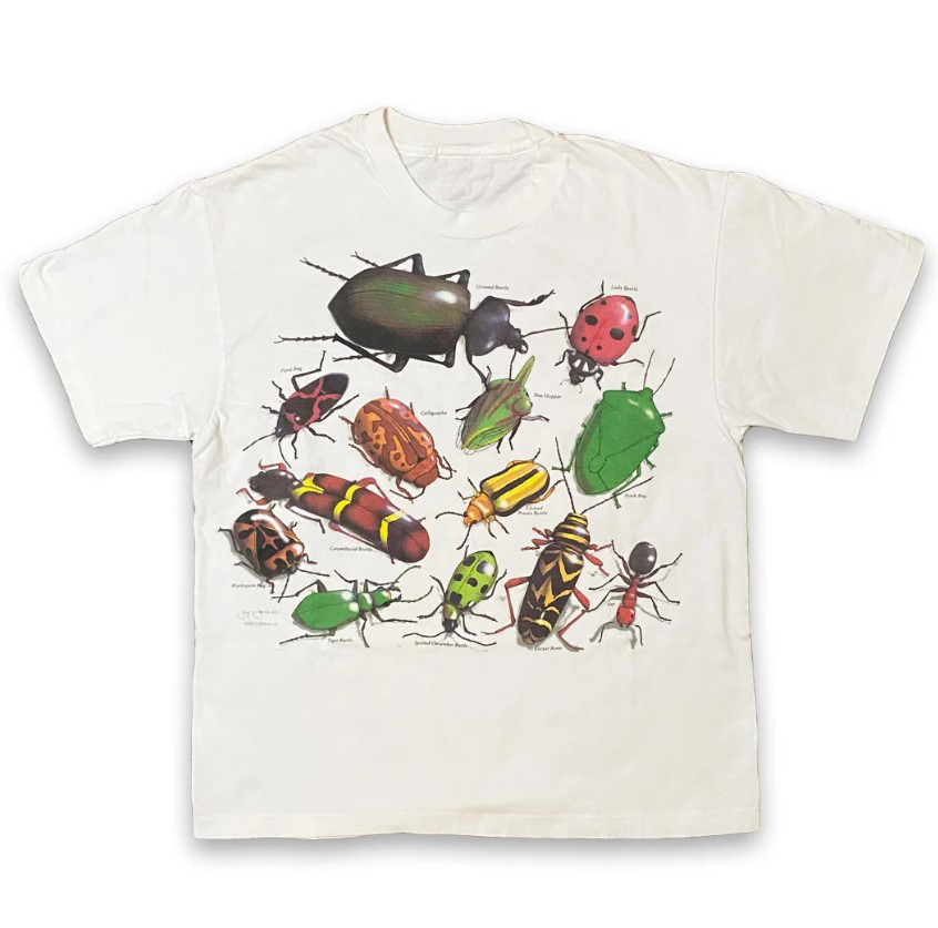 Vintage Entomology Tee Shirt Outfits