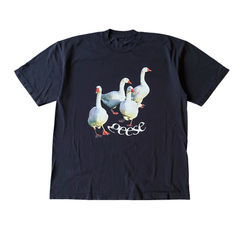 Geese Walking T shirt Outfit