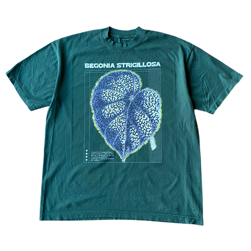 Begonia Strigillosa T shirt Outfit