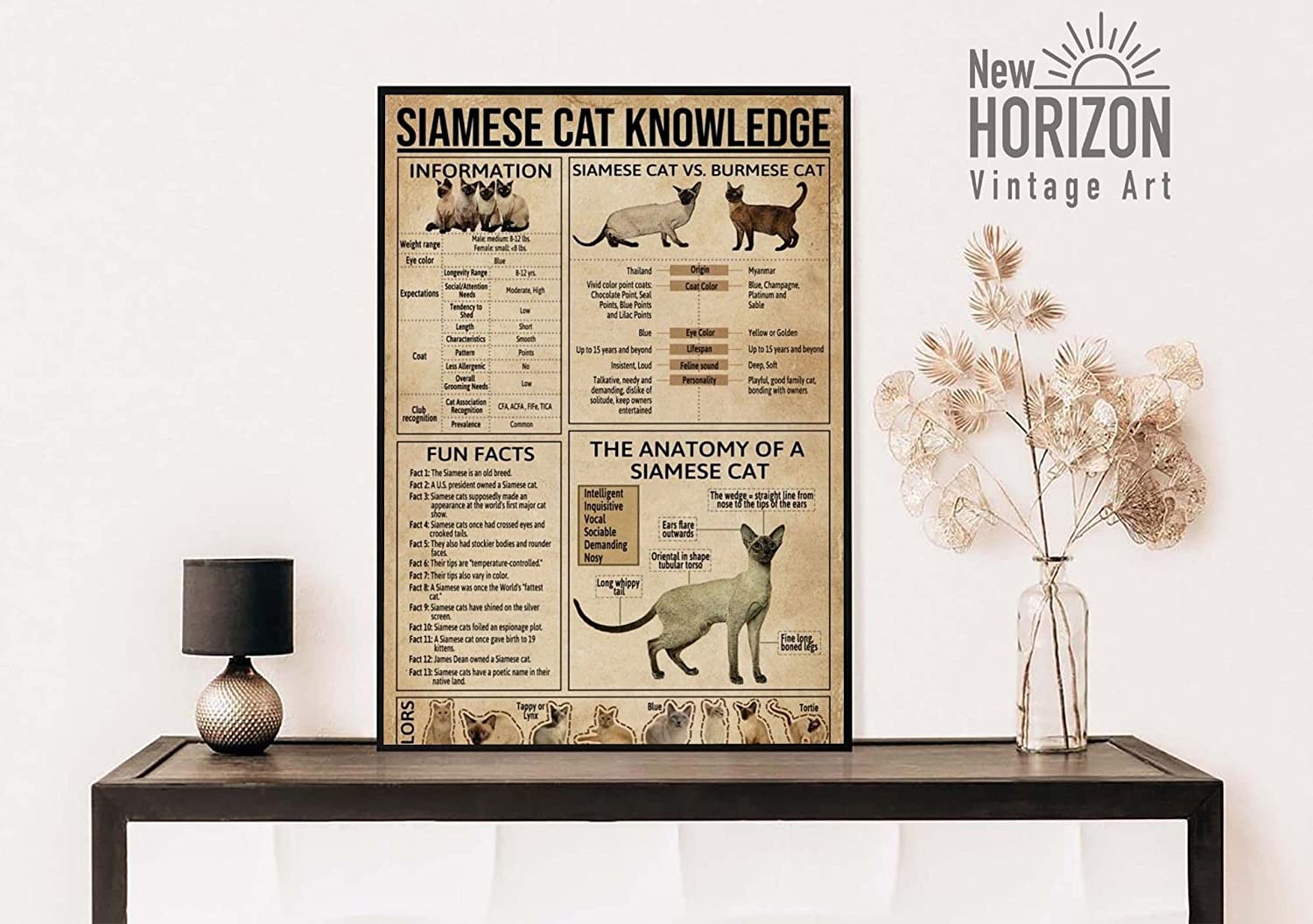 Siamese Knowledge Poster Anatomy Of Siamese Cat Wall Art Siamese Cat Lover Poster Vintage Siamese Cat Art Siamese Cat