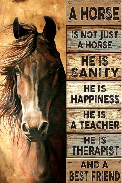 Horse Sanity Happiness Teacher Thera …