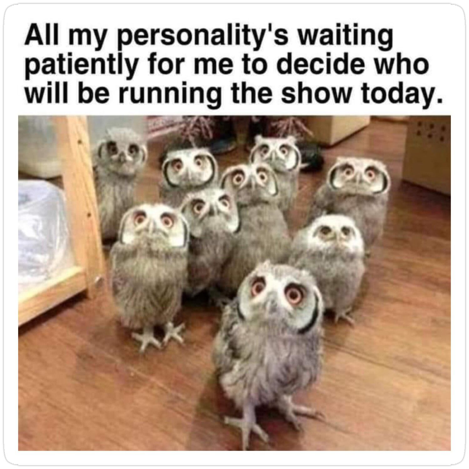All My Personalities Sticker fashionstation 0608 2341