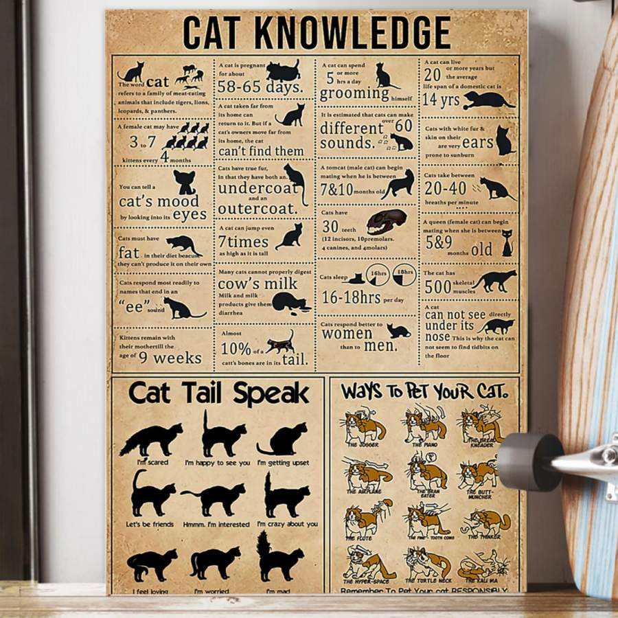 Cat Knowledge Poster  Canvas