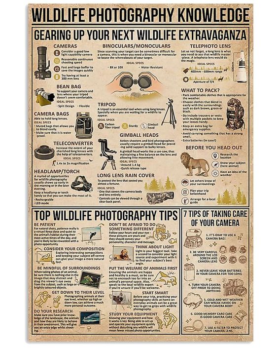 Wildlife Photography Knowledge Poste …