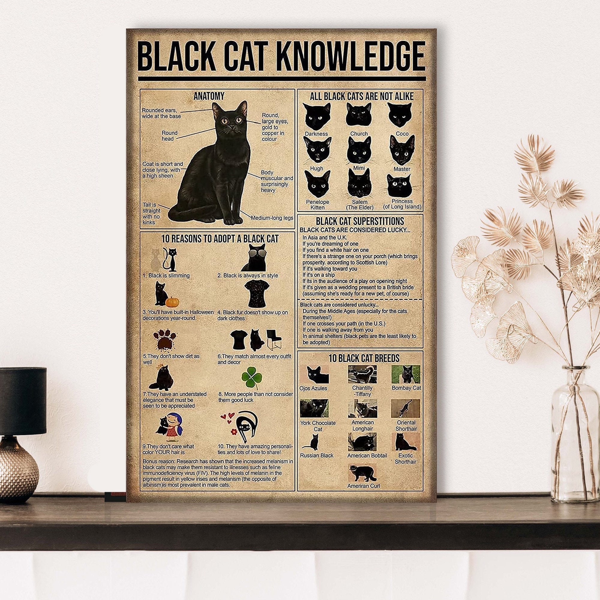 Black Cat Knowledge Poster  Black Cat Poster  Black Cat Print  Cat Owner Gift For Cat Lovers