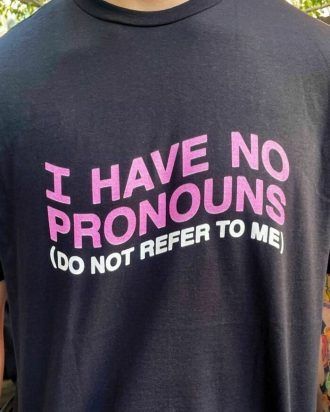 Shirt Ideas, I Have No Pronouns T Sh …