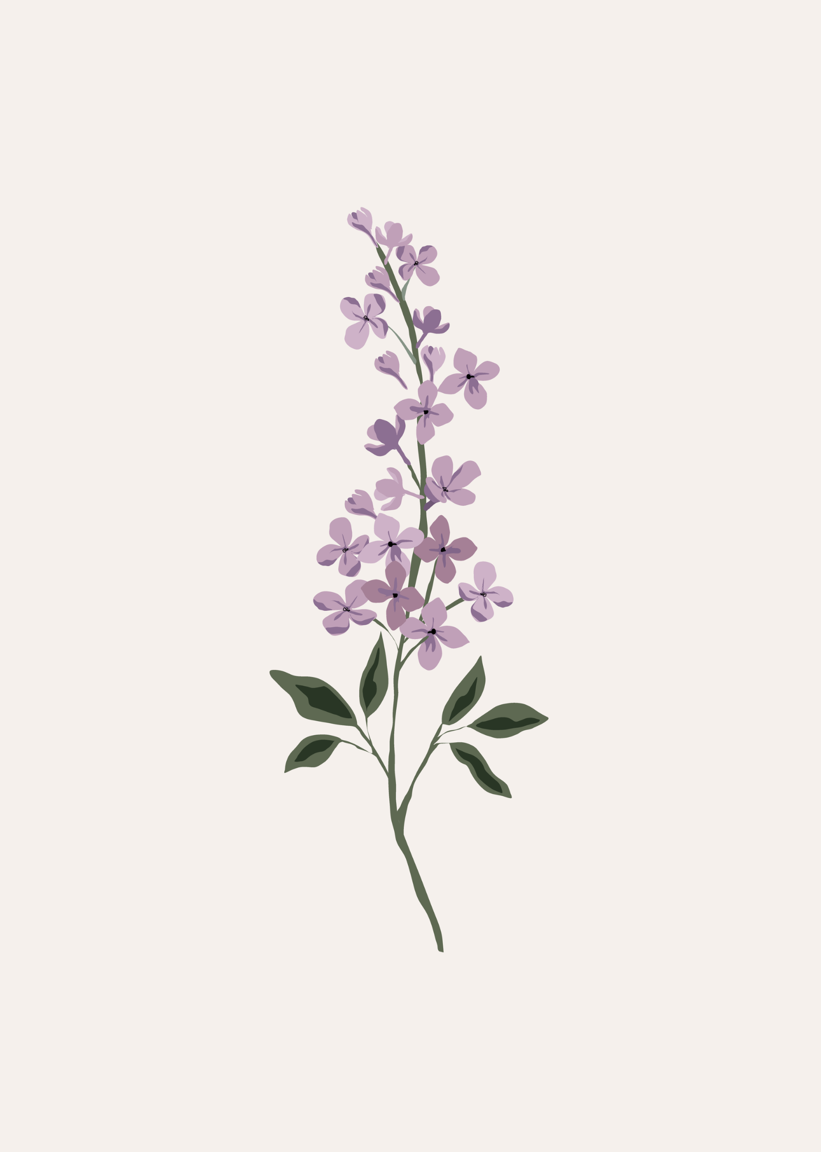 Lilac Flower Art Print| Posters & Wall Art | Mimi & August fashionstation 0608 2418