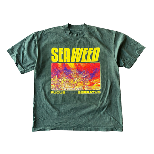 Seaweed v3 T shirt Outfit