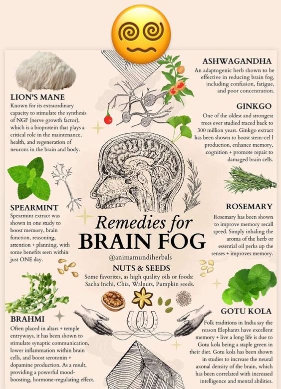 Remedies for Brain Fog Poster US0002 …