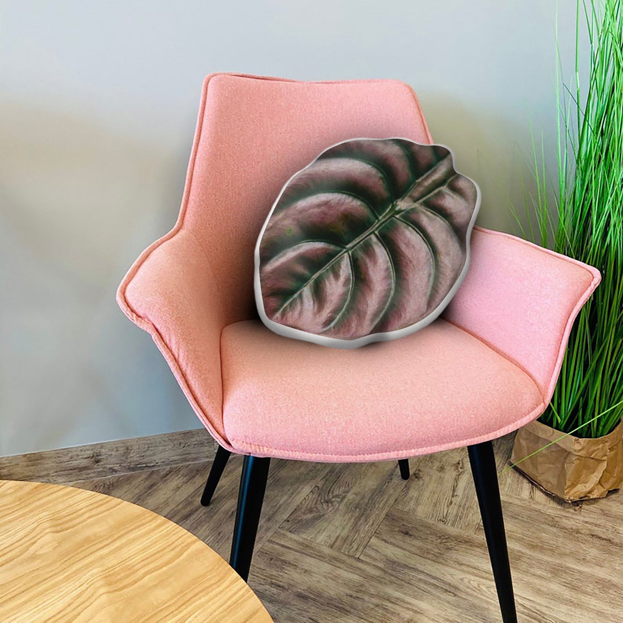 Alocasia Cuprea Red Secret Leaf Pill &hellip;