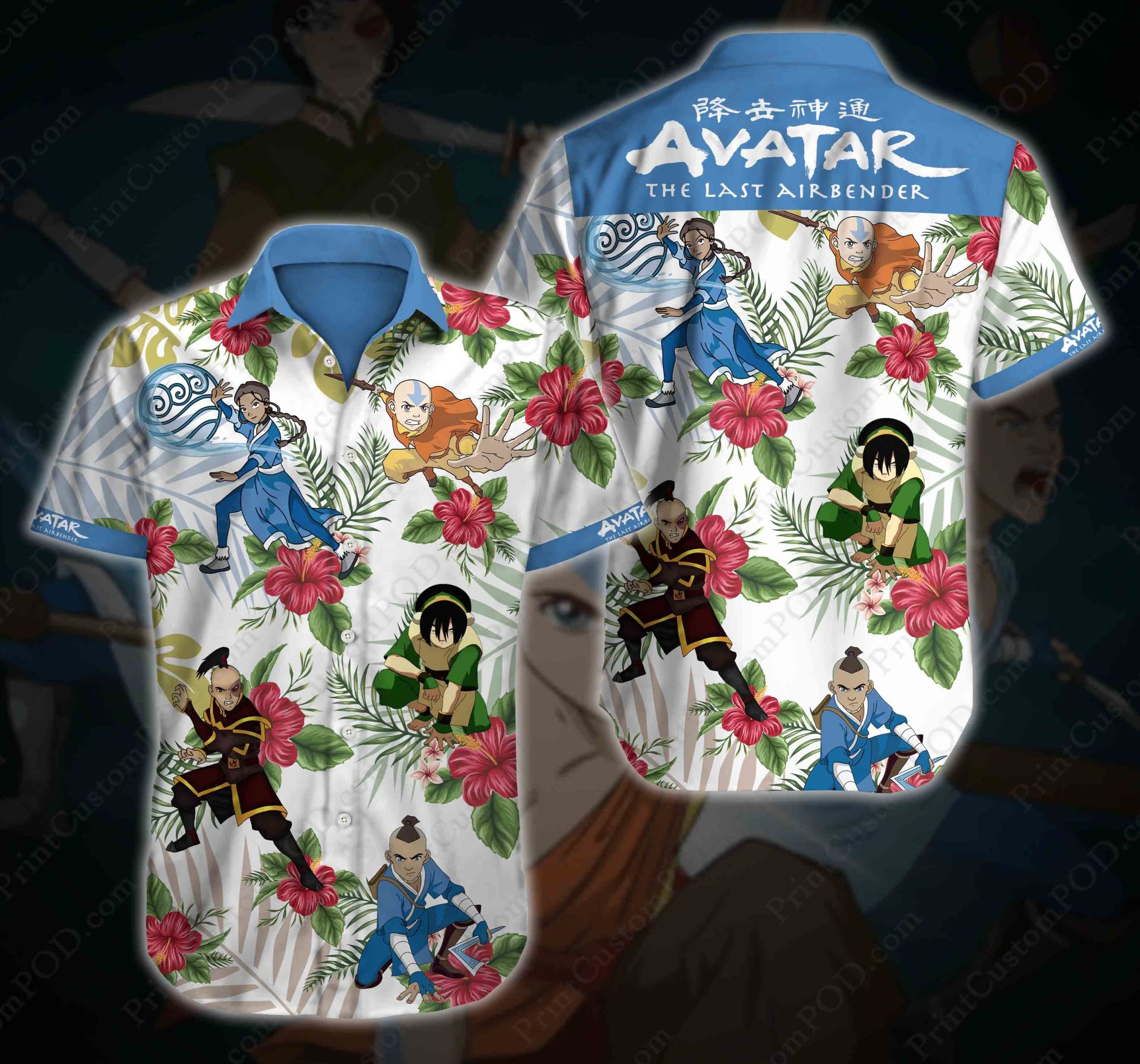 Avatar: The Last Airbender Hawaii Sh &hellip;