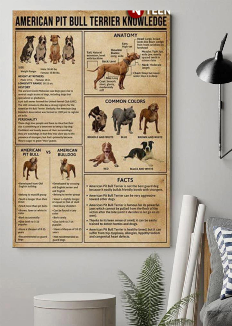 American Pit Bull Terrier Knowledge Poster