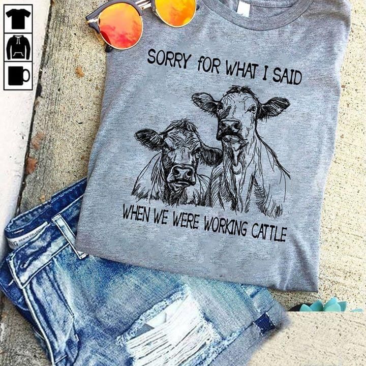 Sorry For What I Said When We Were W …
