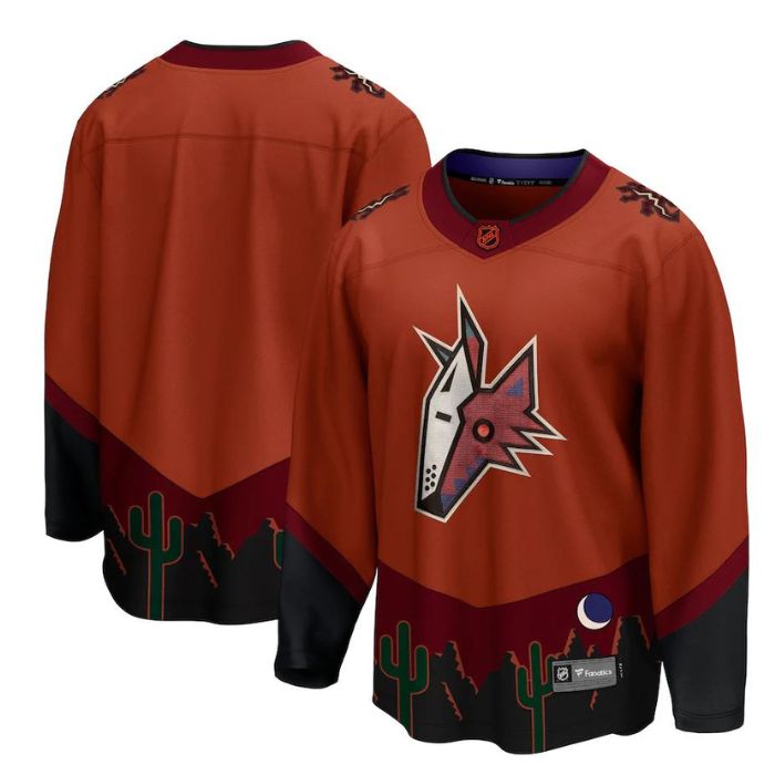 Arizona Coyotes Breakaway 2023 Custom Jersey – Burnt Orange