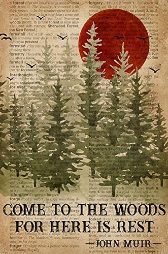 Come To The Woods For Here Is Rest    Wilderness Art Print  Nature Lover Gift Idea Poster Canvas  Poster print  Wall Art