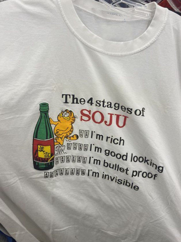 Garfield the 4 stages of SOJU Funny Tee Shirt Outfits