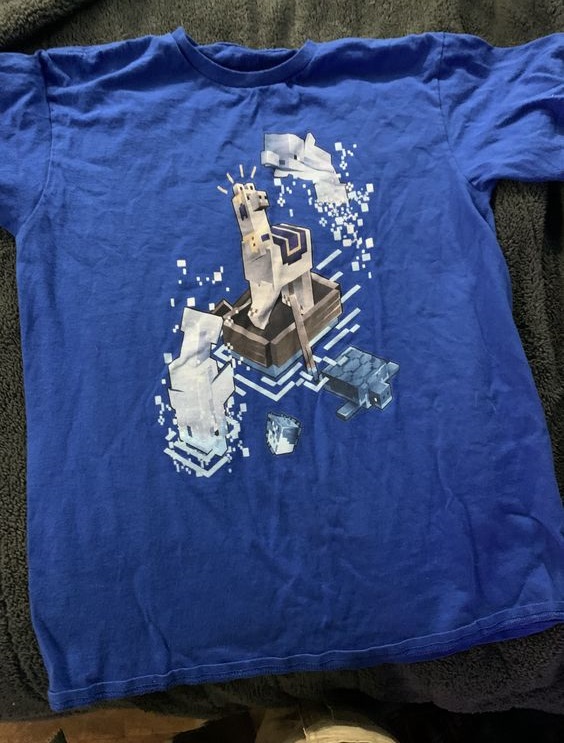 Minecraft Blue shirt outfit, Shirt O … fashionstation