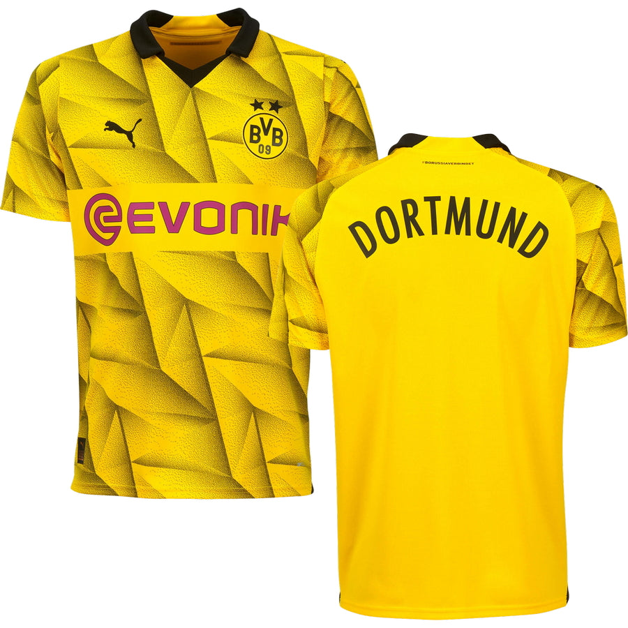 Borussia Dortmund Cup Jersey 2023/24 Men`S