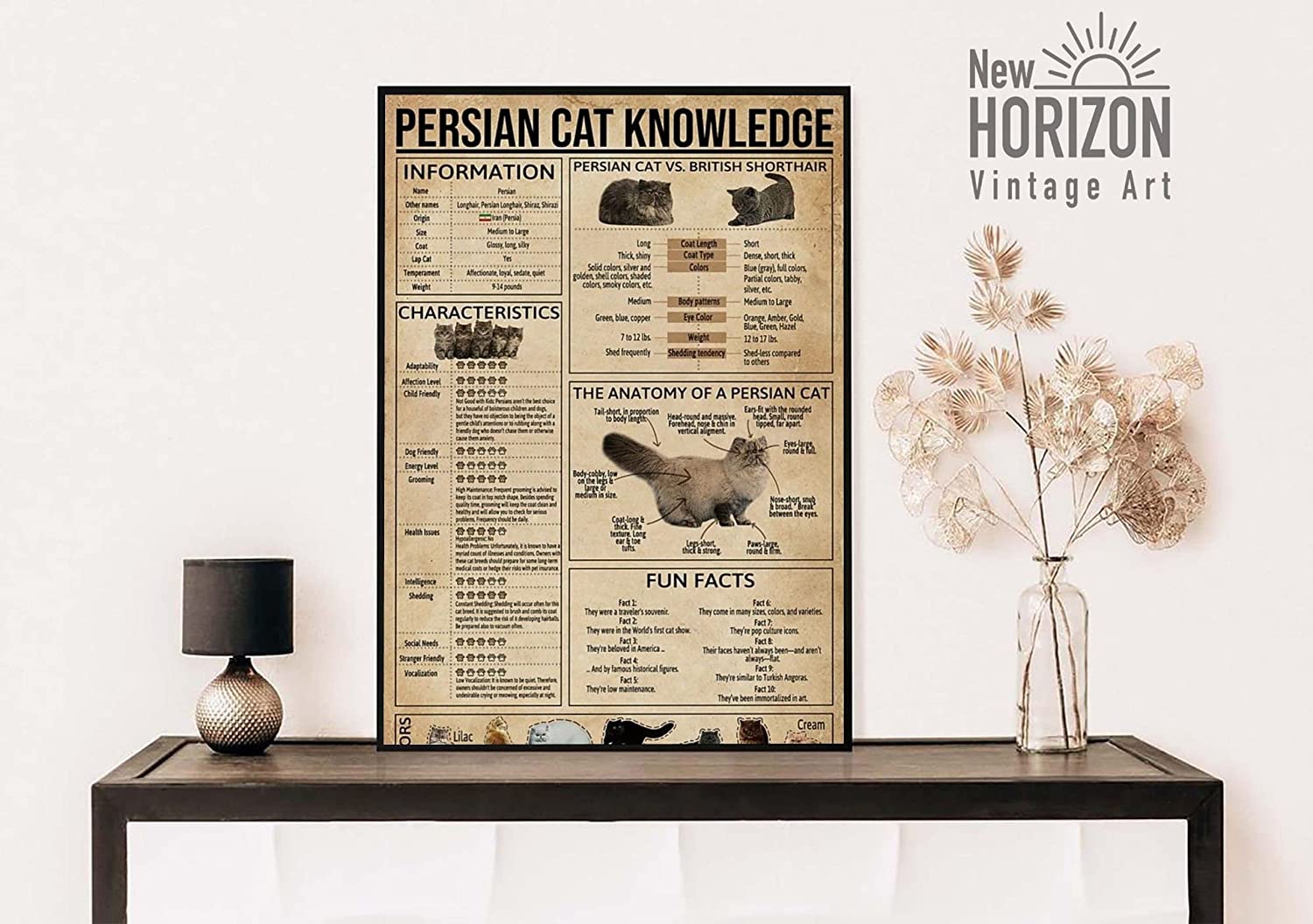 Persian Cat Knowledge Poster Anatomy Of Persian Cat Wall Art Persian Cat Lover Poster Vintage Persian Cat Art Persian