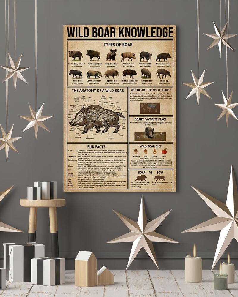 Wild Boar Hunting Knowledge Poster Technique Poster